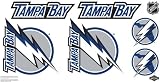 NHL Tampa Bay Lightning Car Decals Medium - 49-by-25-Inch