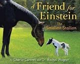 A Friend For Einstein The Smallest Stallion