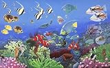 (99x164) Wonders of the Sea Aquarium Huge Wall Mural Art Print Poster
