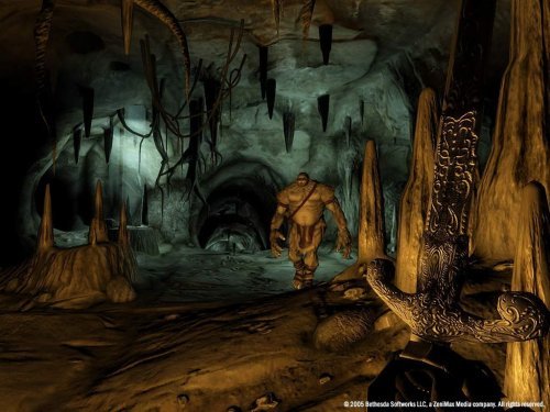 Cover image : The Elder Scrolls IV: Oblivion Game of the Year Edition(輸入版:北米)