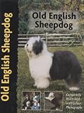 Old English Sheepdog (PetLove)