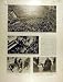 1930 City-Hall New-York America Riots Chomage Police