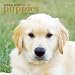 golden_retriever34golden retriever - Golden Retriever Puppies 2010 Wall Calendar
