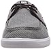 DC Men's Hampton TX SE Skate Shoe
