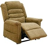 Autumn Catnapper Soother Power Lift Full Lay-out Oversized Chaise Recliner Chair
