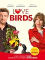 Love Birds