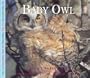 Baby Owl (Nature Babies)