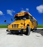 School Bus - 24