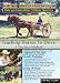 Doc Hammill's Horsemanship Video Series: Teaching Horses to Drive 