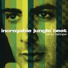 Pasa Tempo by Incroyable Jungle Beat