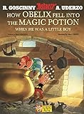 How Obelix fell into the magic potion