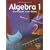 Algebra 1: Concepts and Skills