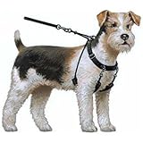 YUP! Pet Halter, Medium, Black