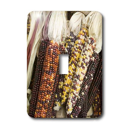 lsp_90973_1 Danita Delimont - Autumn - Massachusetts, CONCORD Native Corn / Autumn - US22 WBI0172 - Walter Bibikow - Light Switch Covers - single toggle switch