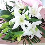 白ゆりの花束 花 百合 大輪系 お花の数 45輪以上