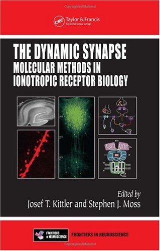 The Dynamic Synapse: Molecular Methods in Ionotropic Receptor Biology
