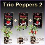 Nature's Greeting Grow Your Own Peppers (All-In-One Trio Pack: Ghost Chili + Chocolate Pepper + Cherry Pepper)