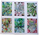 Succulent Greeting Note Cards Botanical Notecards with Agave Watercolor Paintings