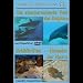 Die atemberaubende Welt der Delphine/Schildkr�ten-Nomaden der Meere