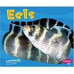 Eels (Pebble Plus) book cover