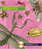 Insects (Pictura)