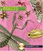 Insects (Pictura)
