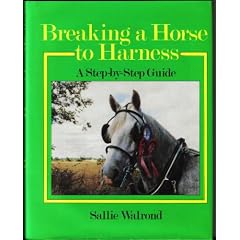 Breaking a Horse to Harness: Step-by-step Guide