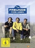 Freunde f�rs Leben - Staffel 1 (4 DVDs) - Michael Lesch