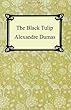 The Black Tulip