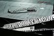 THE NEW Jose Eber Zebra PRO Series Flat Iron Korean Tourmaline Hair Straightener