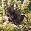 Beaver Folkmanis Puppet - Plush, 18 Inches