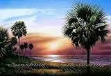 Palmetto Sunrise Wall Mural