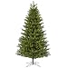 15′ X 68″ Augusta Pine Dura-Lit Clear Lights 1650