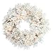 Flocked Swiss Pine Wreath - 30