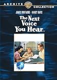 Next Voice You Hear