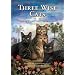Three Wise Cats: A Christmas Story