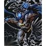 Batman Fleece Blanket Throw 50x60 New with Tags