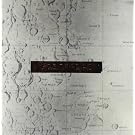 Things We Lost In The Fire [VINYL]