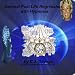 General Past Life Regression with Hypnosis