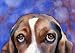 "Basset Hound" Dog Art Print Signed by Artist DJ Rogers
