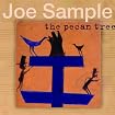 The Pecan Tree