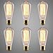 Kiven 6 Pack STG Vintage Antique 60 Watt Edison Light Bulb E26 Base Dimmable Filament Incandescent Bulbs