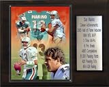 NFL Dan Marino Miami Dolphins Career Stat Plaque