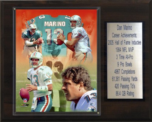 NFL Dan Marino Miami Dolphins Career Stat Plaque