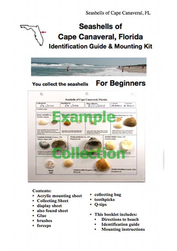 Seashells of Cape Canaveral, Florida Identification Guide & Mounting Kit (Beach by Beach Seashells, Cape Canaverral)