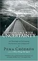 Comfortable with Uncertainty: 108 Teachings on Cultivating Fearlessness and Compassion