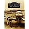 Arcadia Images of Aviation Series Part I