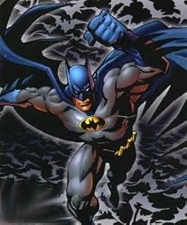 Batman Fleece Blanket