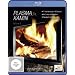 Plasma Kamin HD Vol. 3 [Blu-ray]