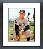 Al Kaline Detroit Tigers Framed Picture 8x10
